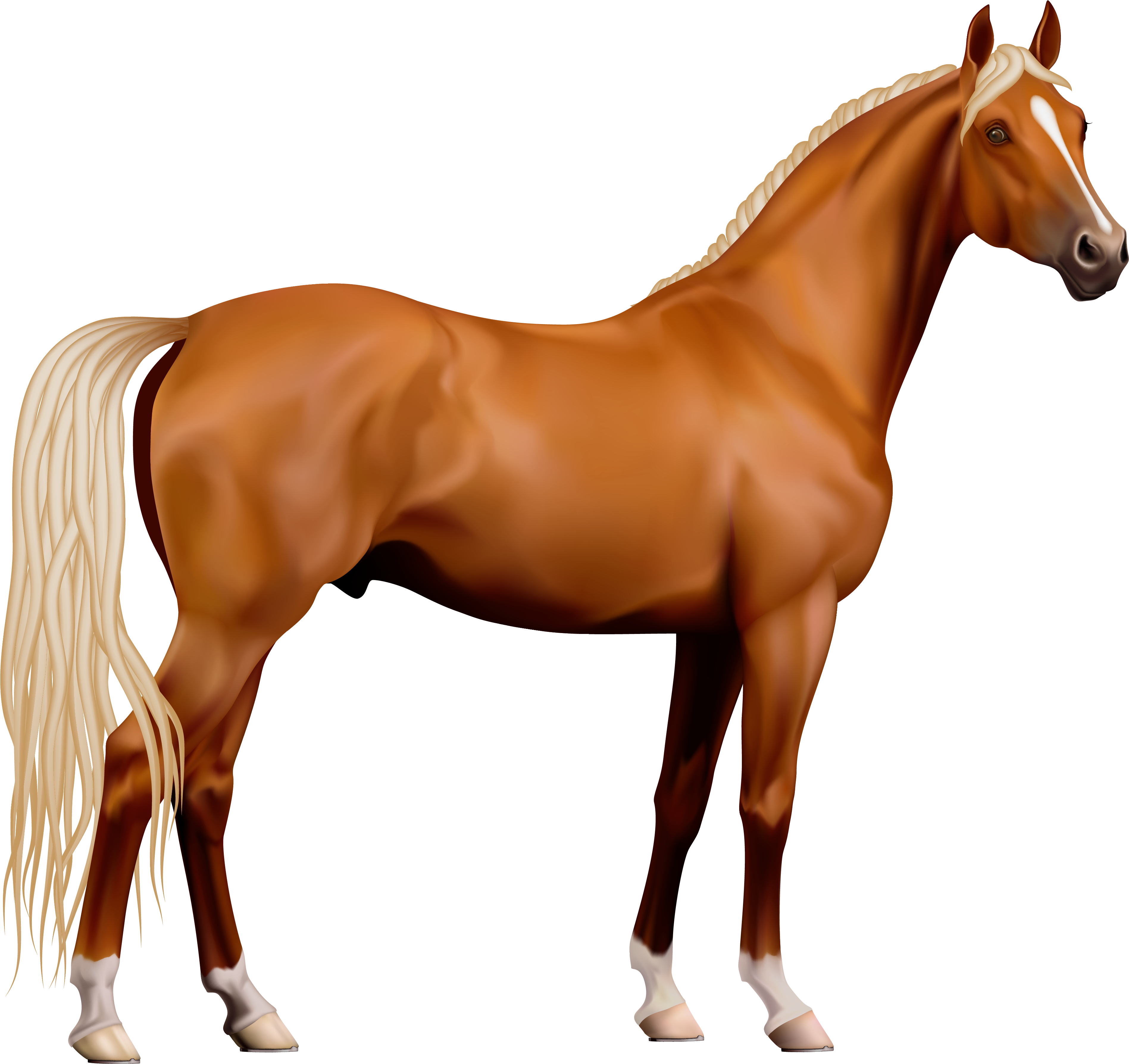 Transparent Horse (3829x3604), Png Download