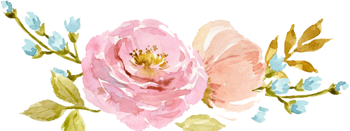 Flowers Png Peoplepng Com - Watercolor Flowers Page Border (711x338), Png Download