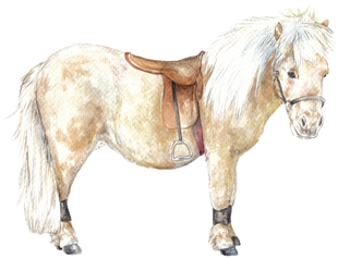 This Is A Signed, Limited Edition Archival Quality - Mane (498x384), Png Download