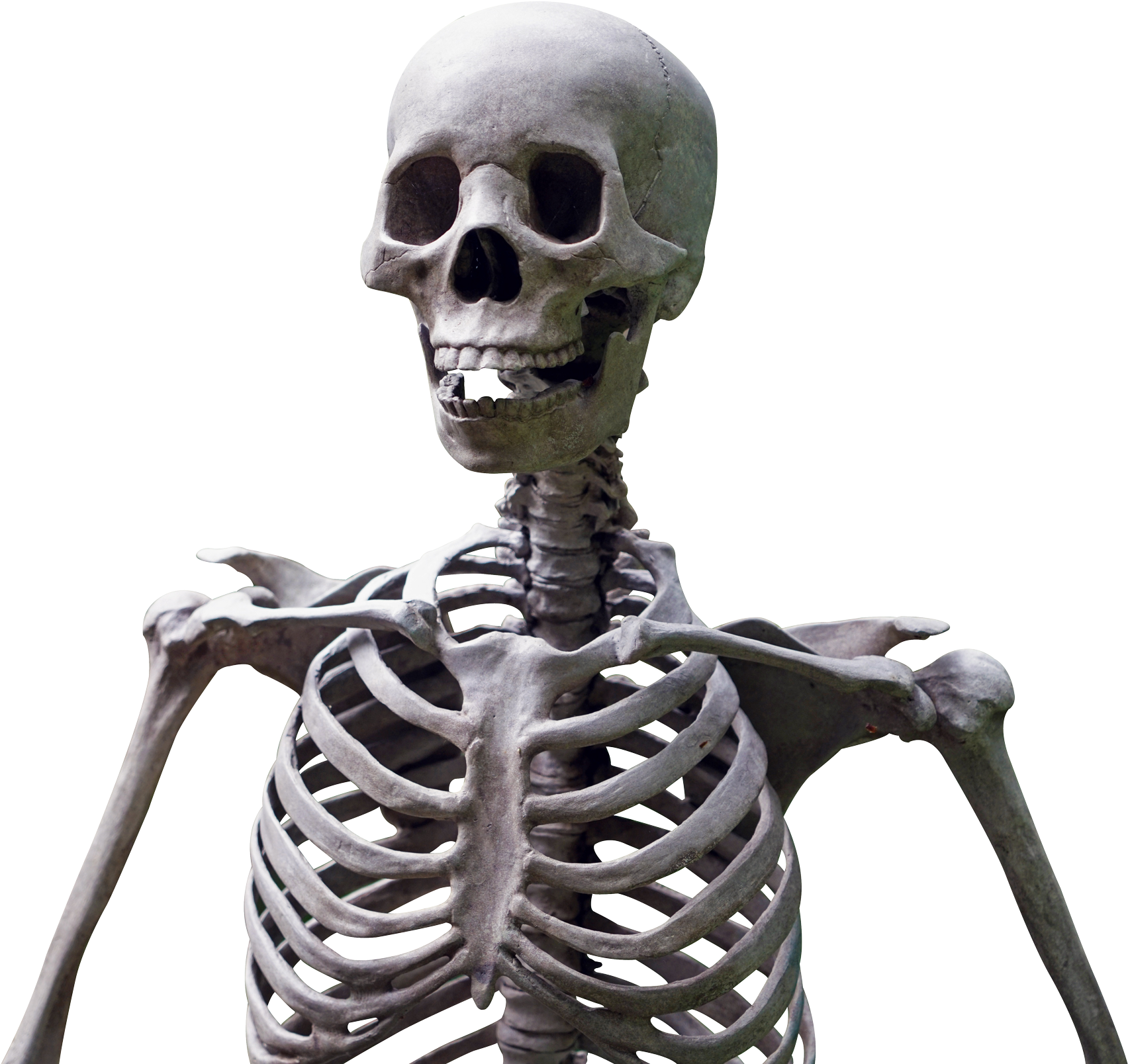 Skeleton Png (1820x1665), Png Download