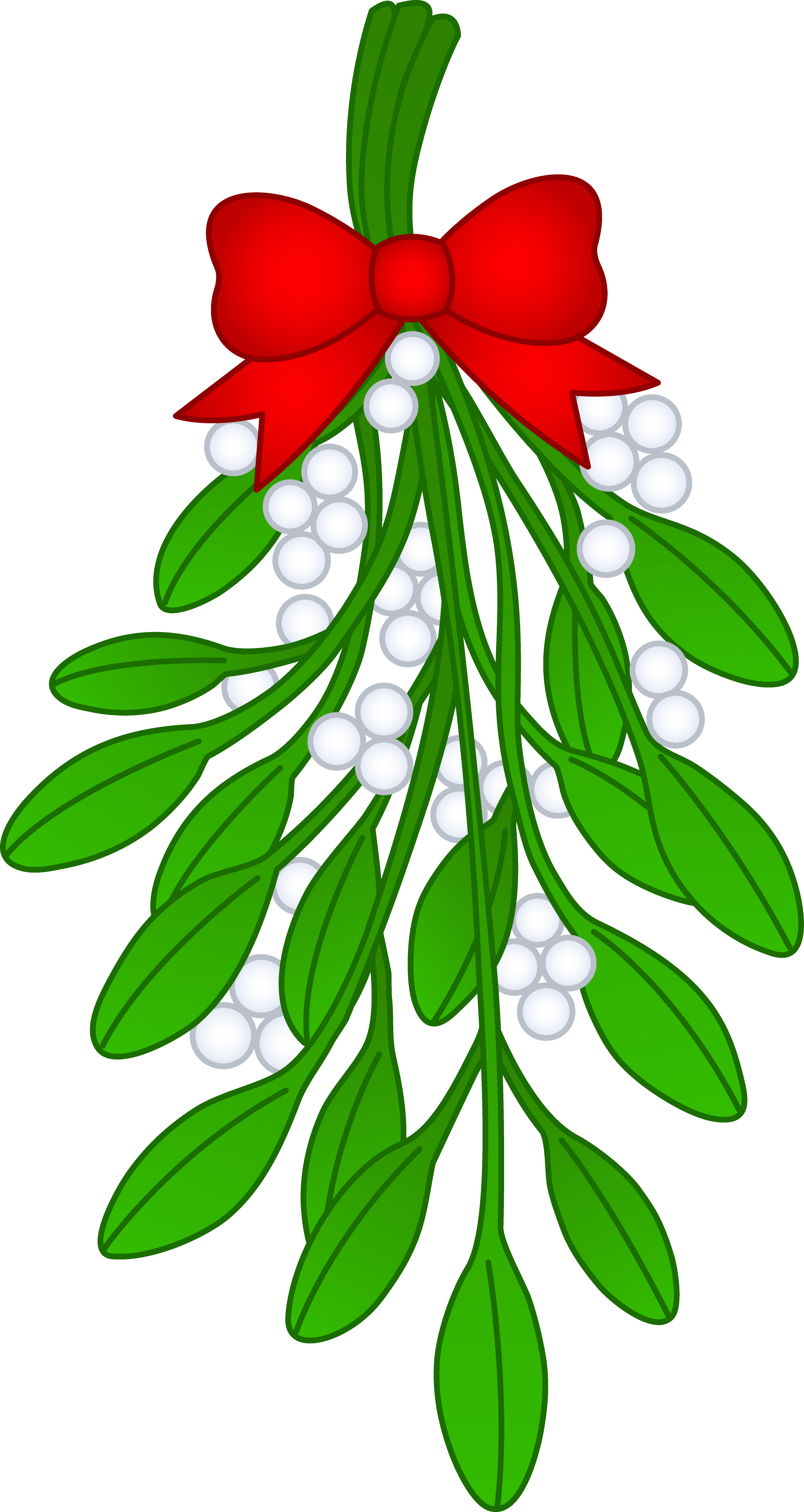 Clip Library Download Drawing Crafts Pinterest - Mistletoe Clipart Free (4622x8688), Png Download