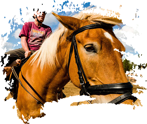 Overnight Excursions - Log House (500x450), Png Download