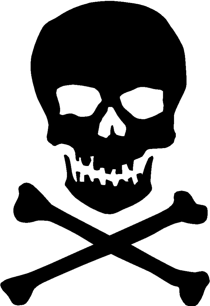 Bone Skull Png Transparent Image - Skull With 2 Bones (735x1024), Png Download