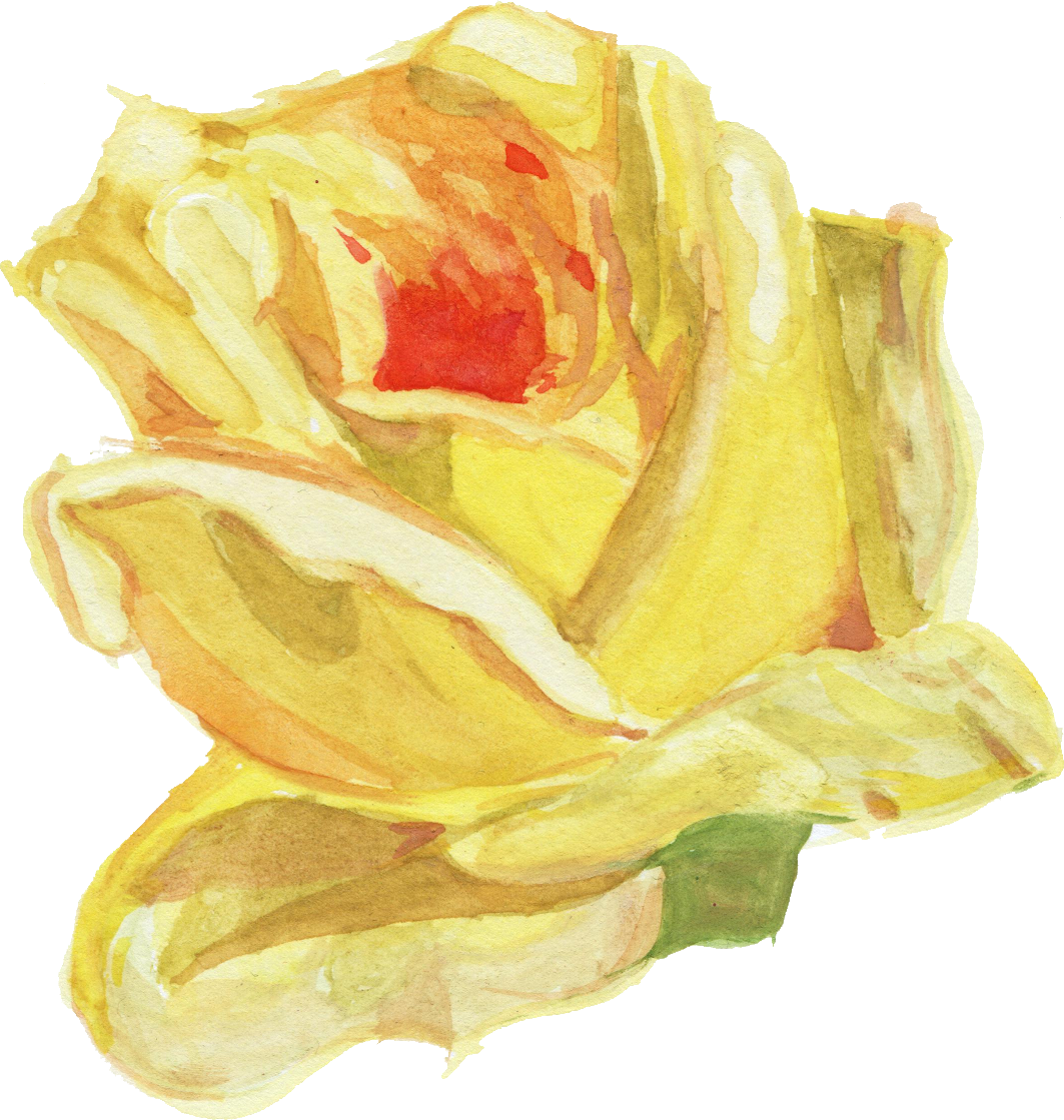 Watercolour Flower Png Image Library Stock - Watercolor Flower Drawing Png (1063x1119), Png Download