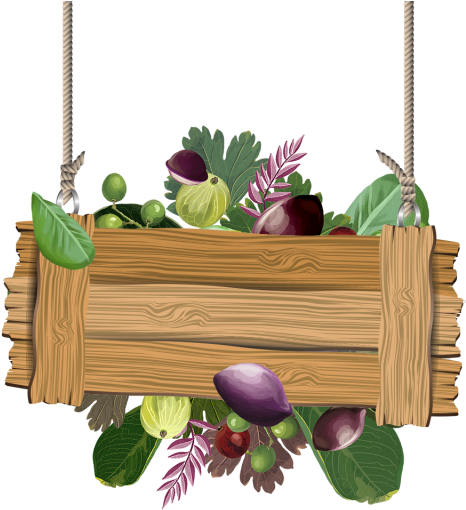 Watercolor Indian Almond Tropical Fruits With Wooden - Tropical Fruit (640x640), Png Download