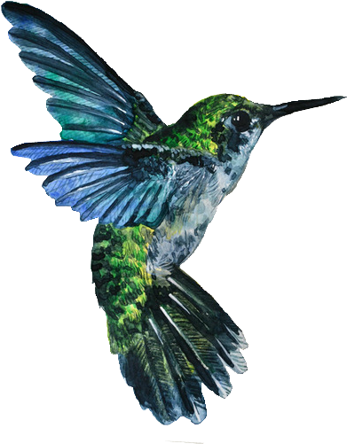 Art Watercolor Bird Transparent Transparent Bird - Watercolor Bird Transparent Background (400x530), Png Download