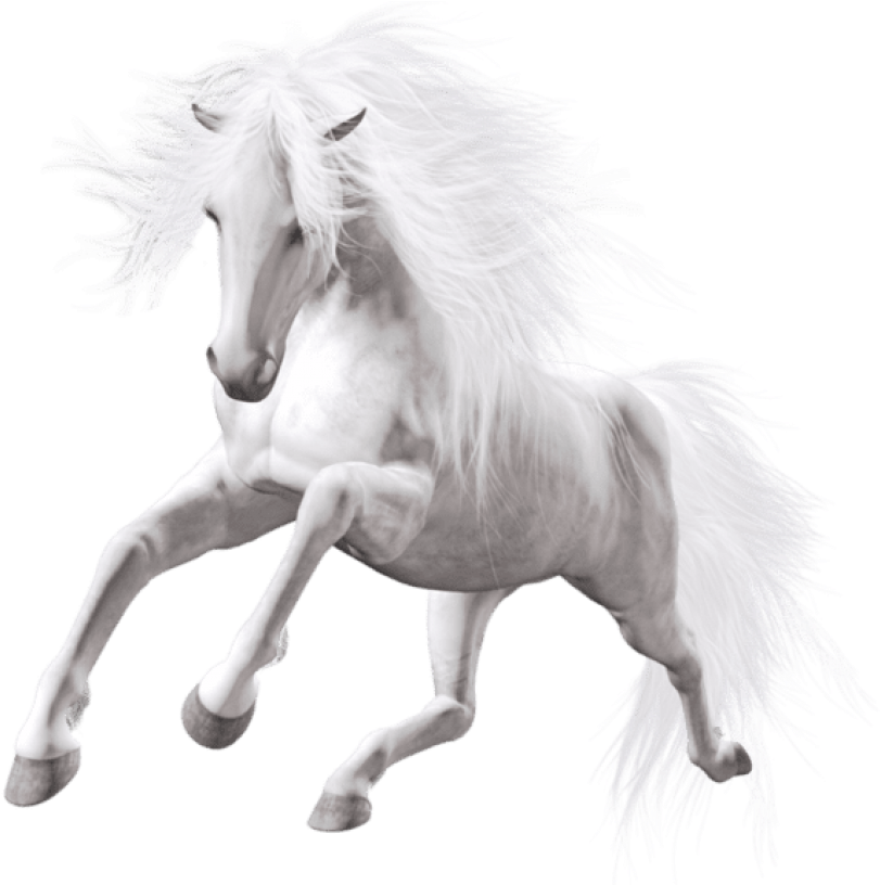 White Horse Png Images - Black And White Horse Png (683x655), Png Download