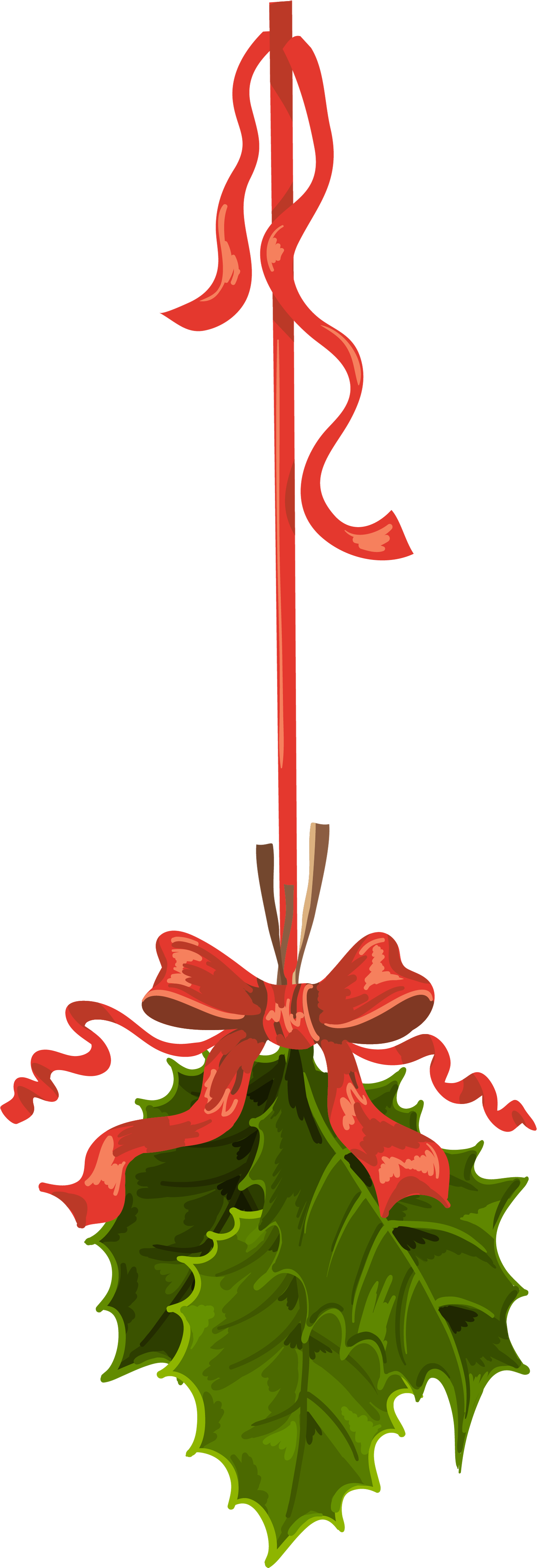Transparent Christmas Hanging Mistletoe Png Clipart - Mistletoe 13 Oz Heavy Duty Vinyl Banner (1670x4540), Png Download