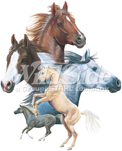 5 Horses Youth - Bits And Pieces 550 Piece Shaped Puzzle Horse Show (421x521), Png Download