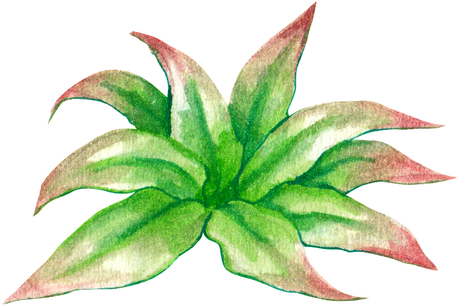 Green Hand Painted Plant Cartoon Transparent Watercolor - Watercolor Painting (1024x819), Png Download