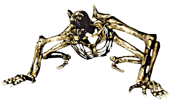 Skeleton Beast - Dark Souls Skeleton Png (574x346), Png Download