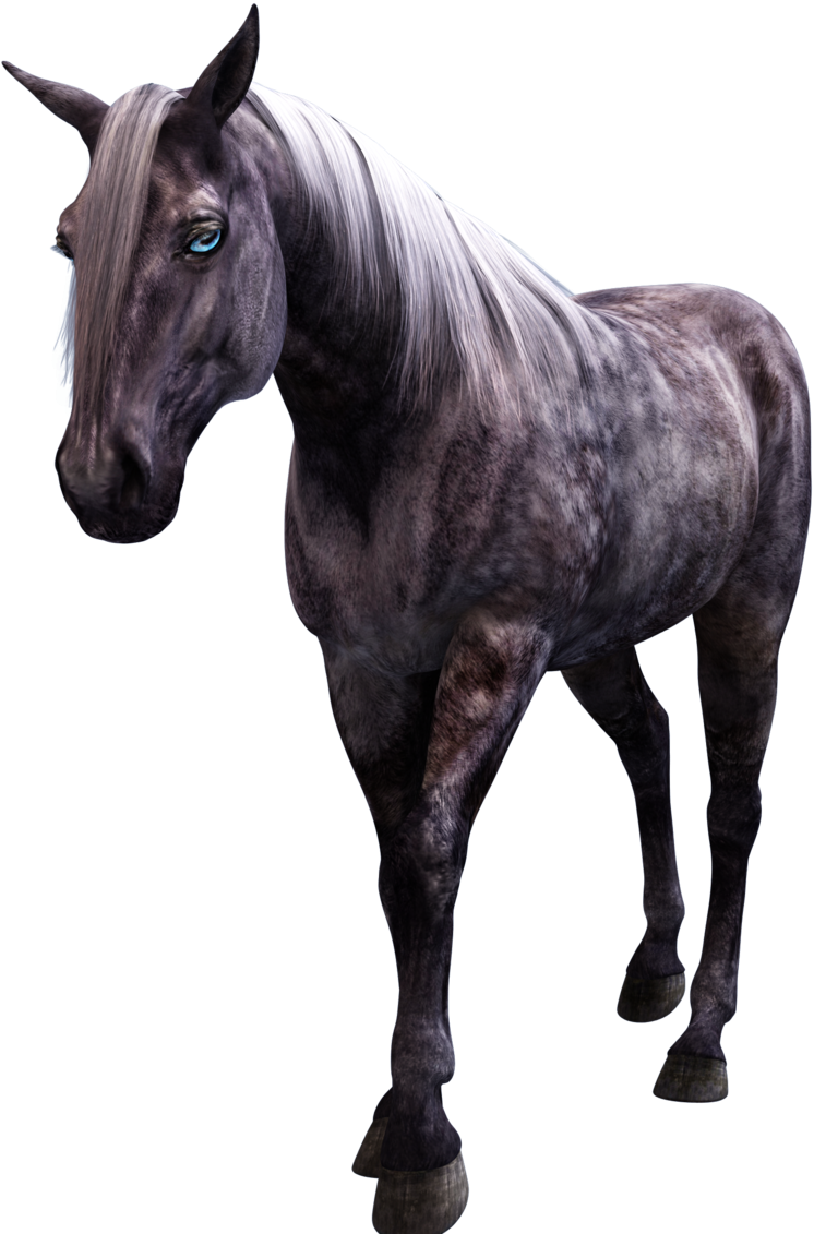 4 Photo - Horse (1024x1181), Png Download