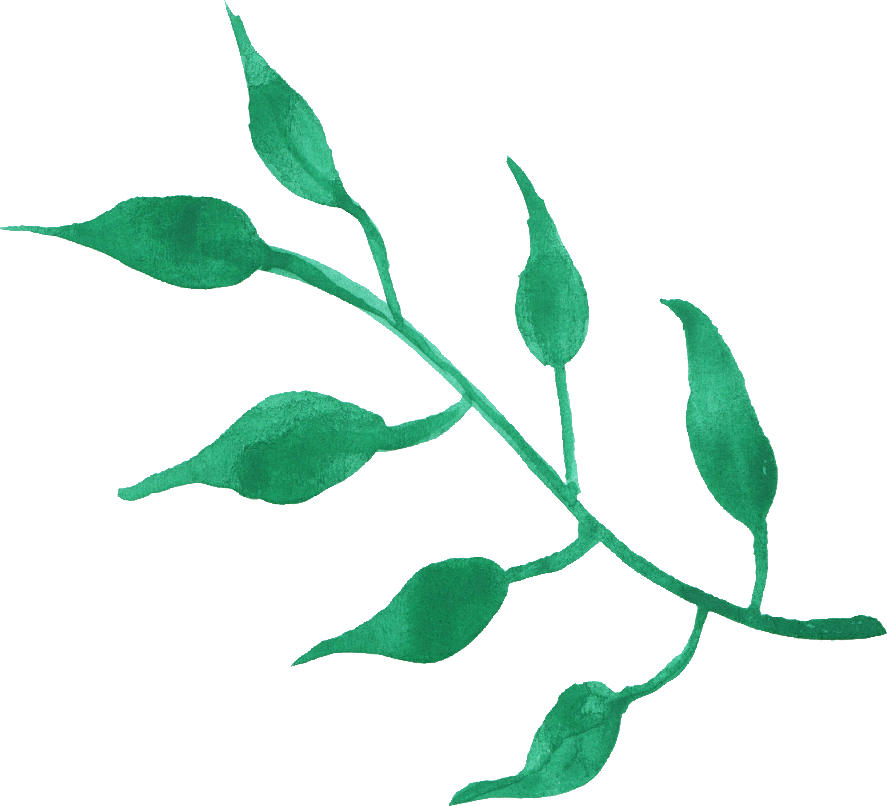 Watercolor Leaf Transparent - Free Green Leaf Watercolor Png (887x806), Png Download