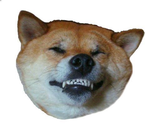 Doge Head - Shiba Inu Head Transparent (560x405), Png Download