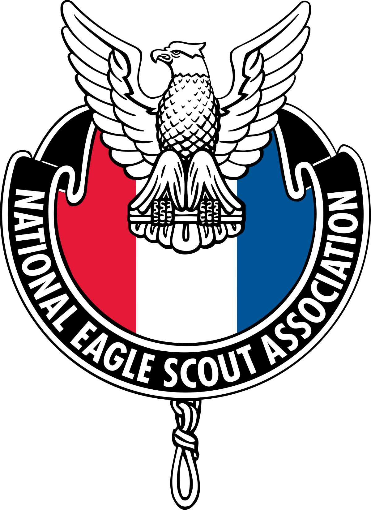 Medal Drawing Eagle Scout Jpg Royalty Free Stock - National Eagle Scout Association Logo (1200x1649), Png Download