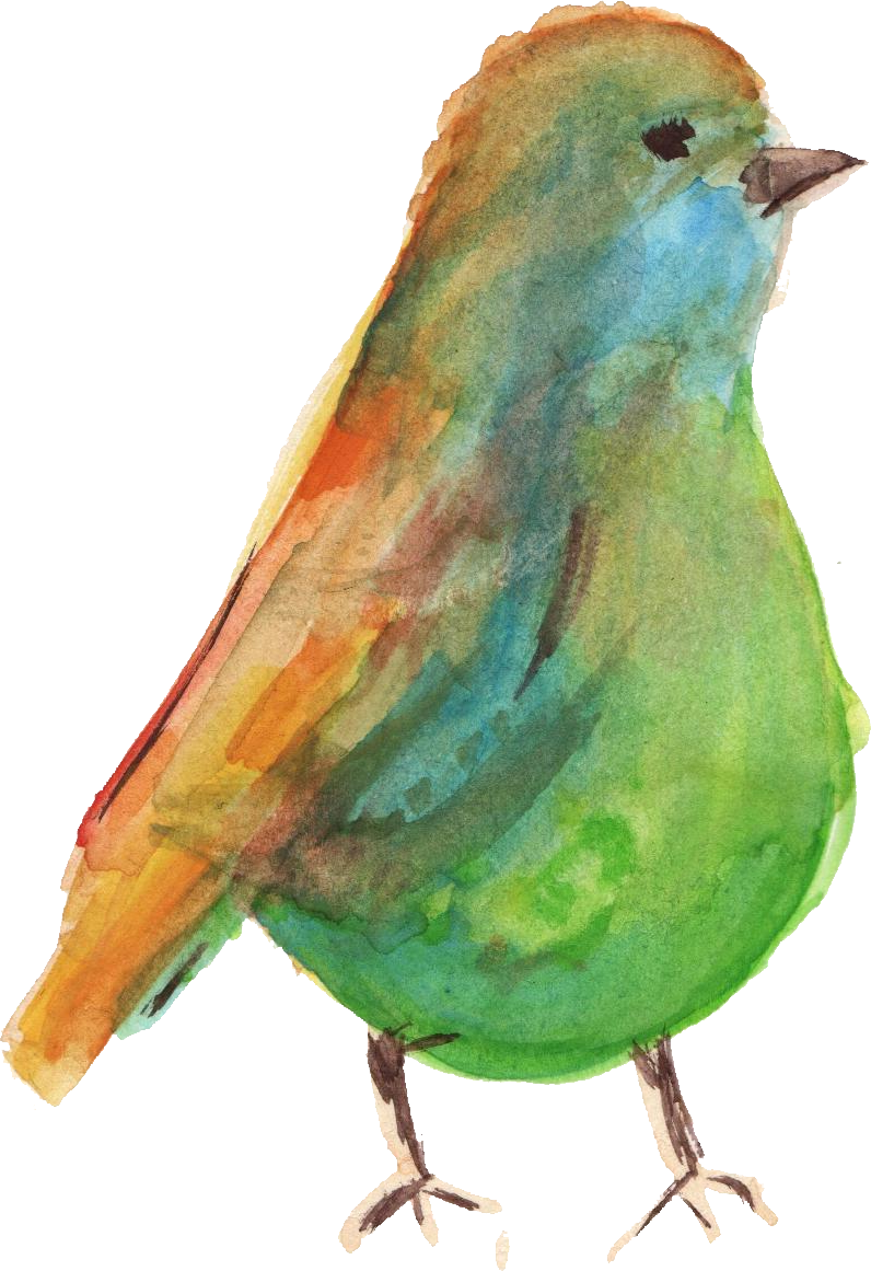 Water Color Bird Png - Watercolour Bird Png (796x1161), Png Download