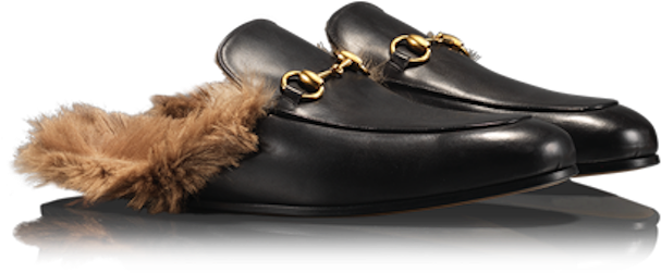Gucci Shoes For Women Png Image Background - Gucci Shoes Png (800x447), Png Download
