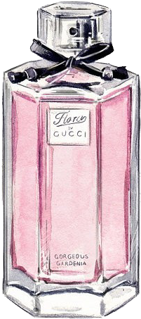 Graphic Free Download Chanel Gucci Painting Sketch - Gucci Perfume Bottle Drawing (570x564), Png Download