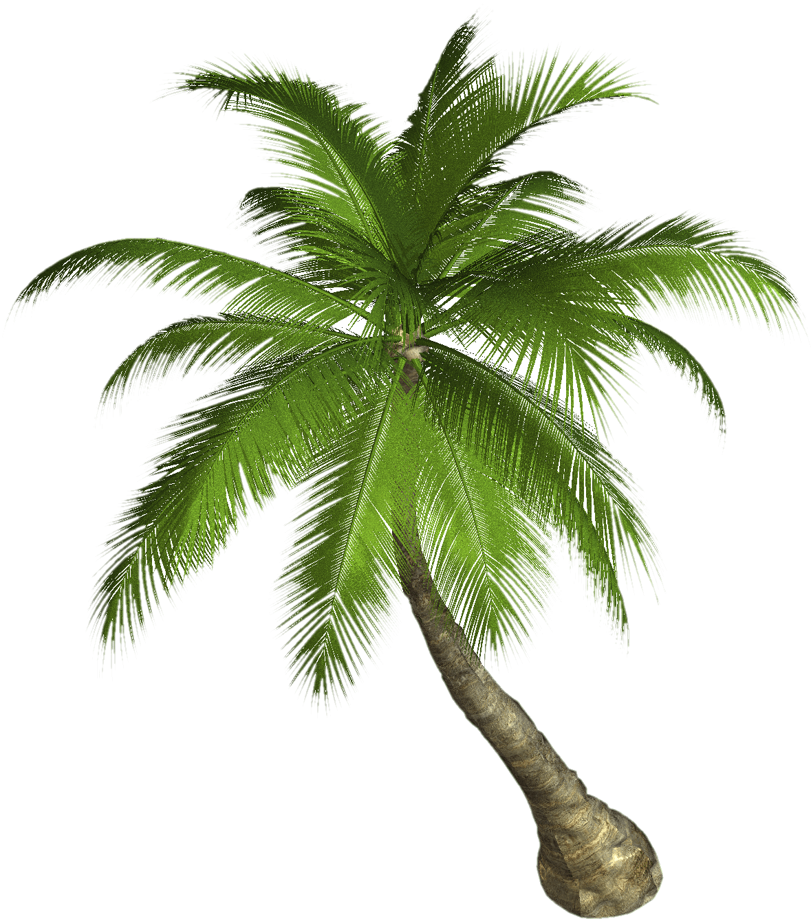 Palm Tree - Palm Tree Png Hd (1179x1337), Png Download