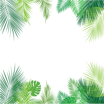 Tropical Palm Leaves Png, Palm, Tropical Leaves, Leaves - Tropical Leaves Border Png (360x360), Png Download