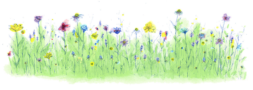 Huw Prosser - Dandelion (975x348), Png Download