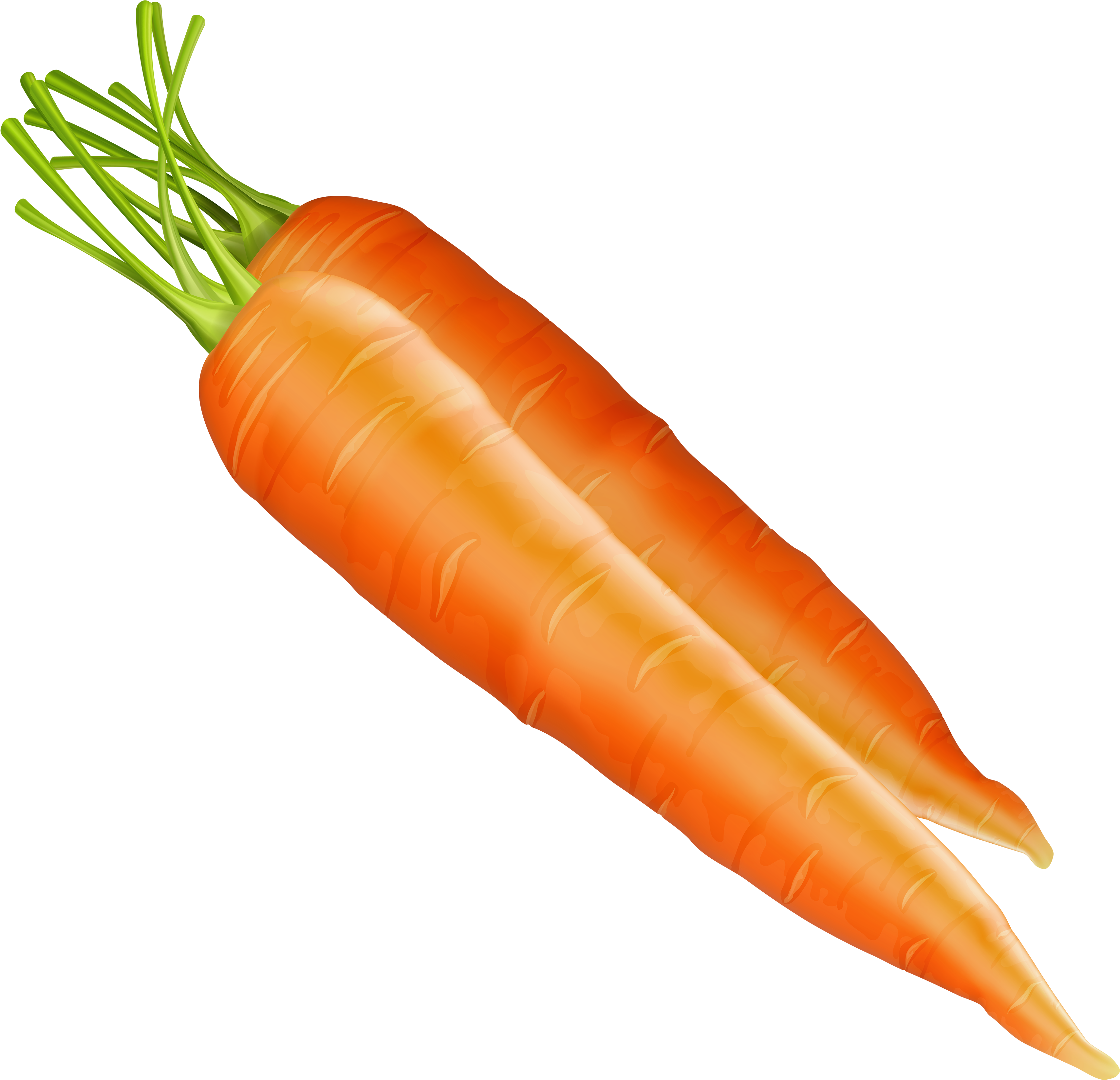 Carrots Png Clipart - Carrots Png (3500x3374), Png Download