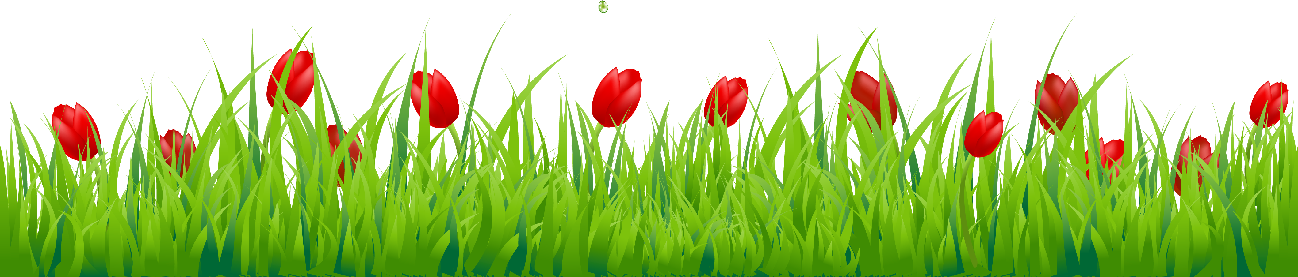Grass With Flower Png (4232x1843), Png Download
