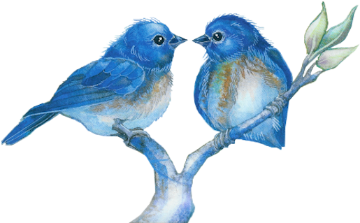 Watercolor Bird Png Vector Library - Good Evening In Birds (540x320), Png Download