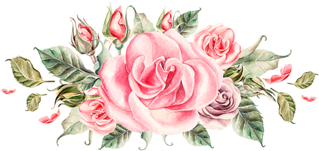 Flower Watercolor Painting Clip - Peony Flower Clip Art (800x800), Png Download