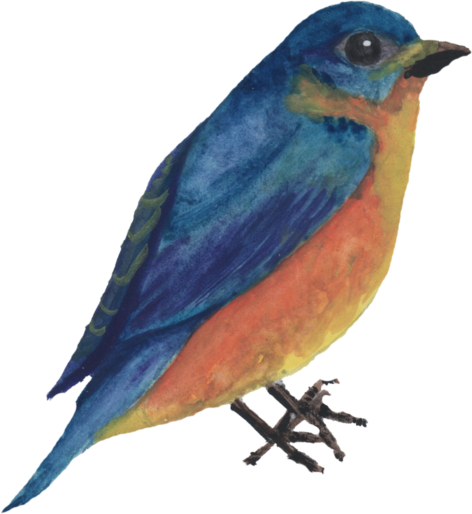 Watercolor Bird - Watercolor Painting (1000x1134), Png Download