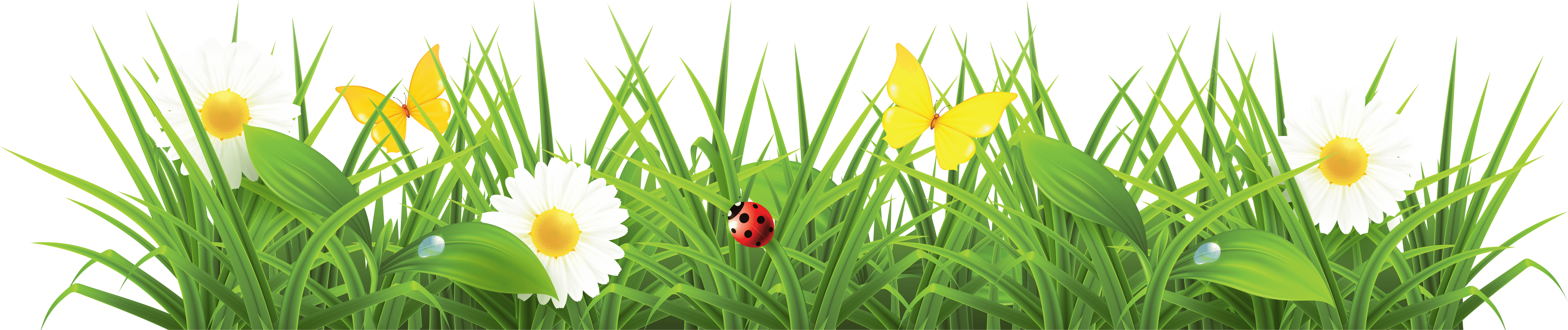 Png Grass (6836x1565), Png Download