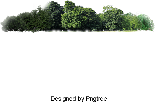 Forest, Trees, Grass Png And Psd - Psd (800x800), Png Download