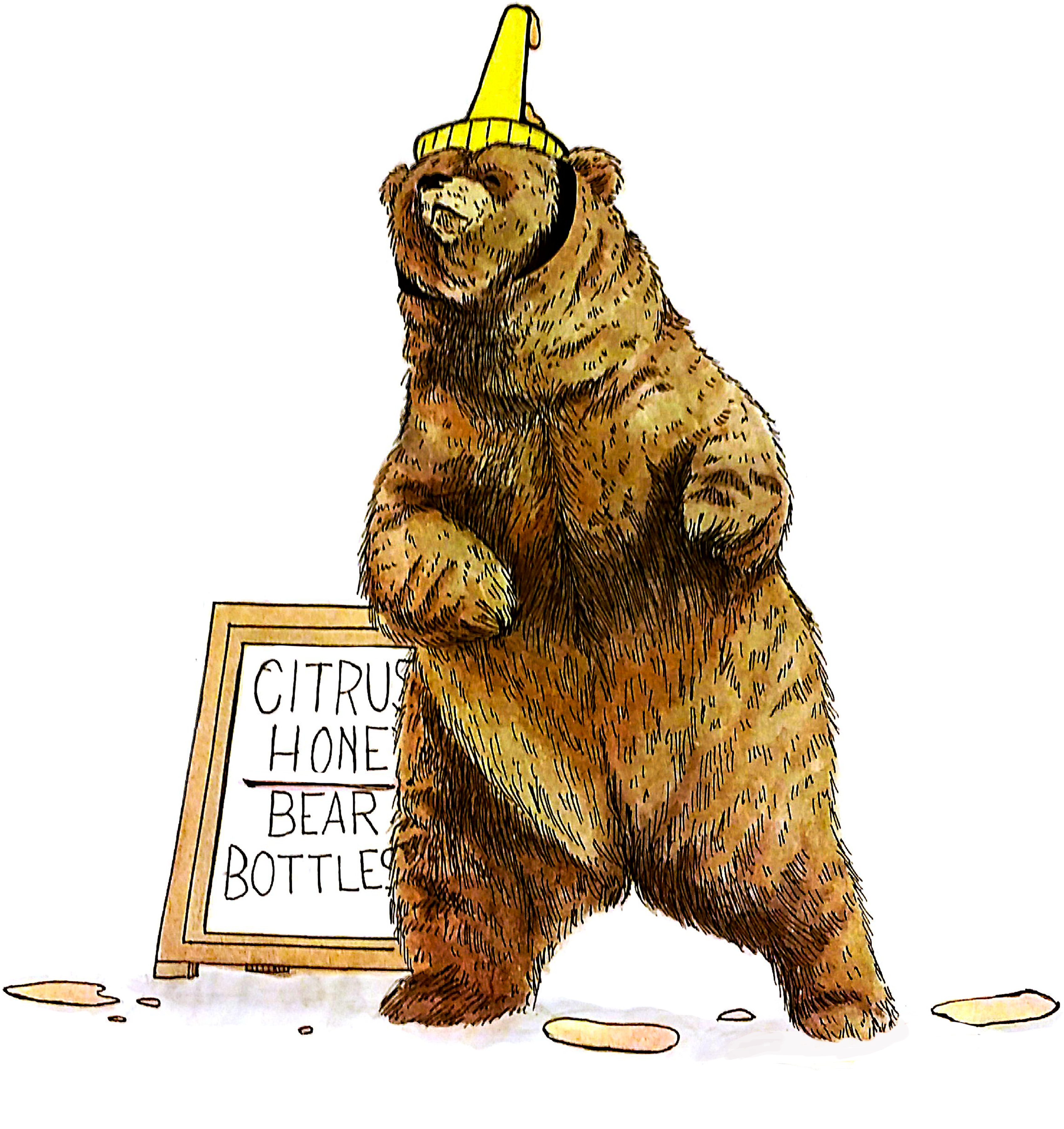 Watercolor Honey Bear Bottle Drawing Full Size Png Download Seekpng