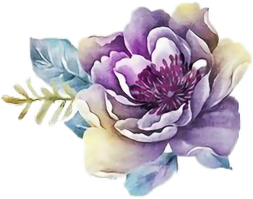Ftestickers Art Rose Purple - Purple Flower Watercolor Png (1024x1024), Png Download