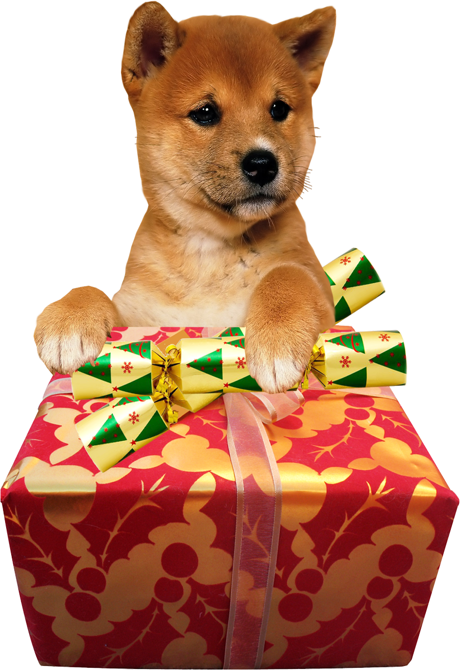 Christmas Animals No Background (900x1500), Png Download