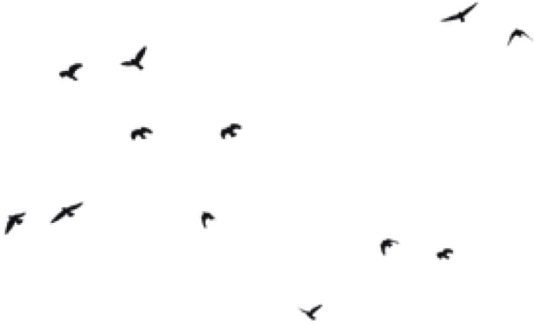 Free Png Birds Png Images Transparent - Bird Png Siluet (850x544), Png Download