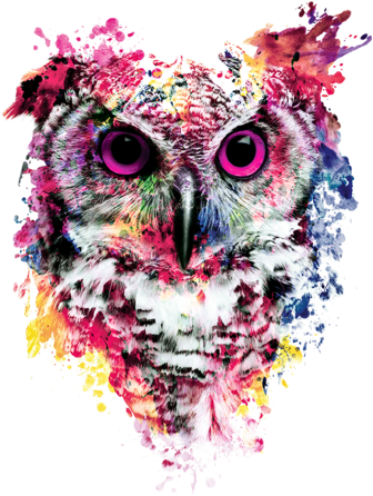 Watercolor Owl - Framed Canvas Art - Owl I By Riza Peker (571x495), Png Download