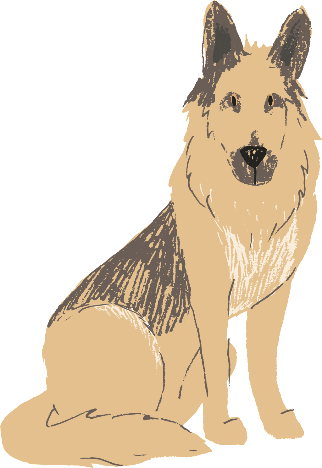 German Shepherd Dog Hand-painted Watercolor Transparent - Dog Breeder Logos (1024x1489), Png Download