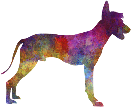 Bleed Area May Not Be Visible - Peruvian Hairless Dog Im Watercolor Rundes Keramik (600x480), Png Download