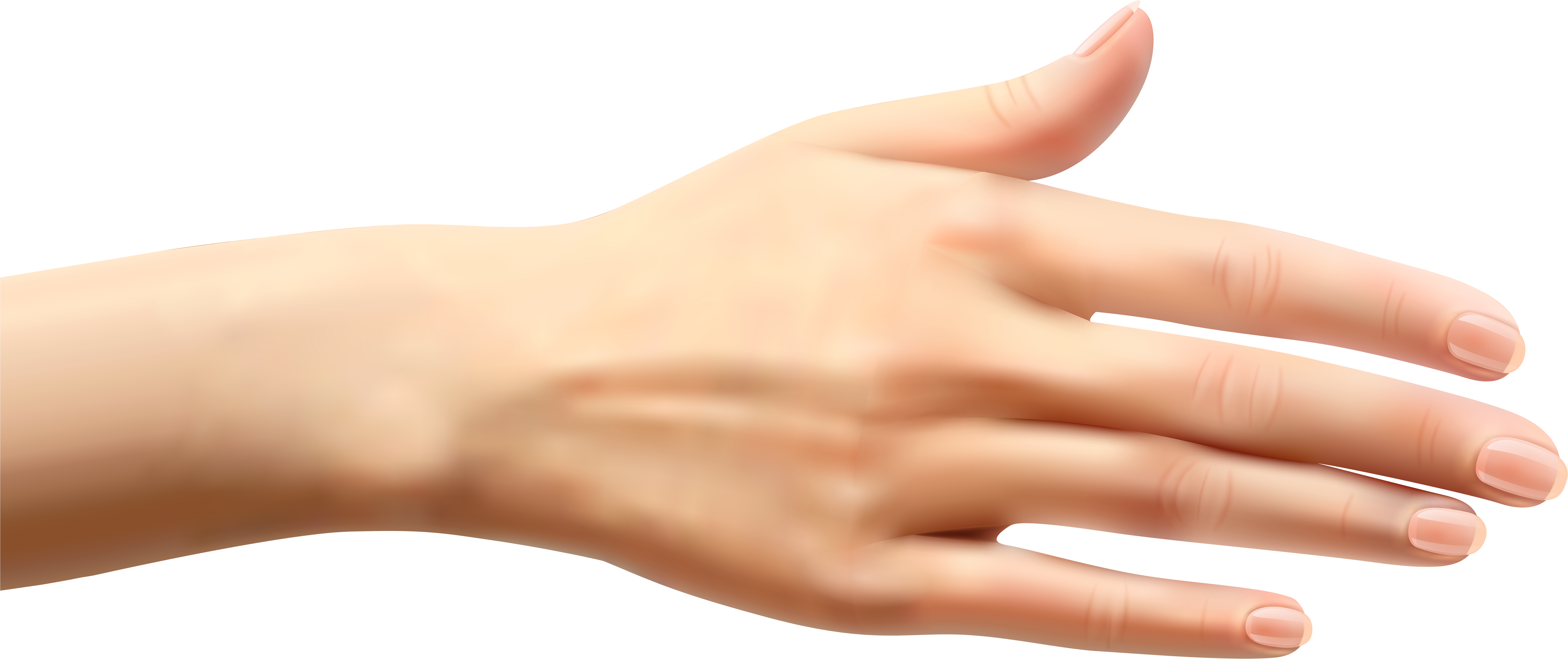 Hand Png (8000x3484), Png Download
