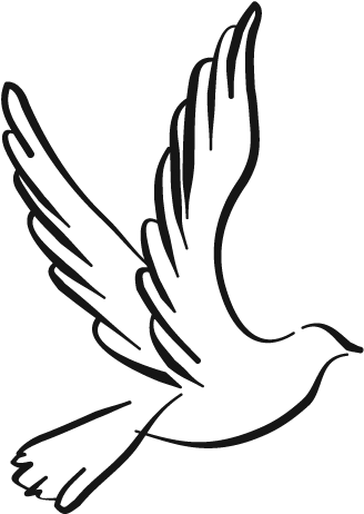 Dove Png Drawing Clipartxtras Dove Drawing Png - Dove Line Drawing (340x473), Png Download