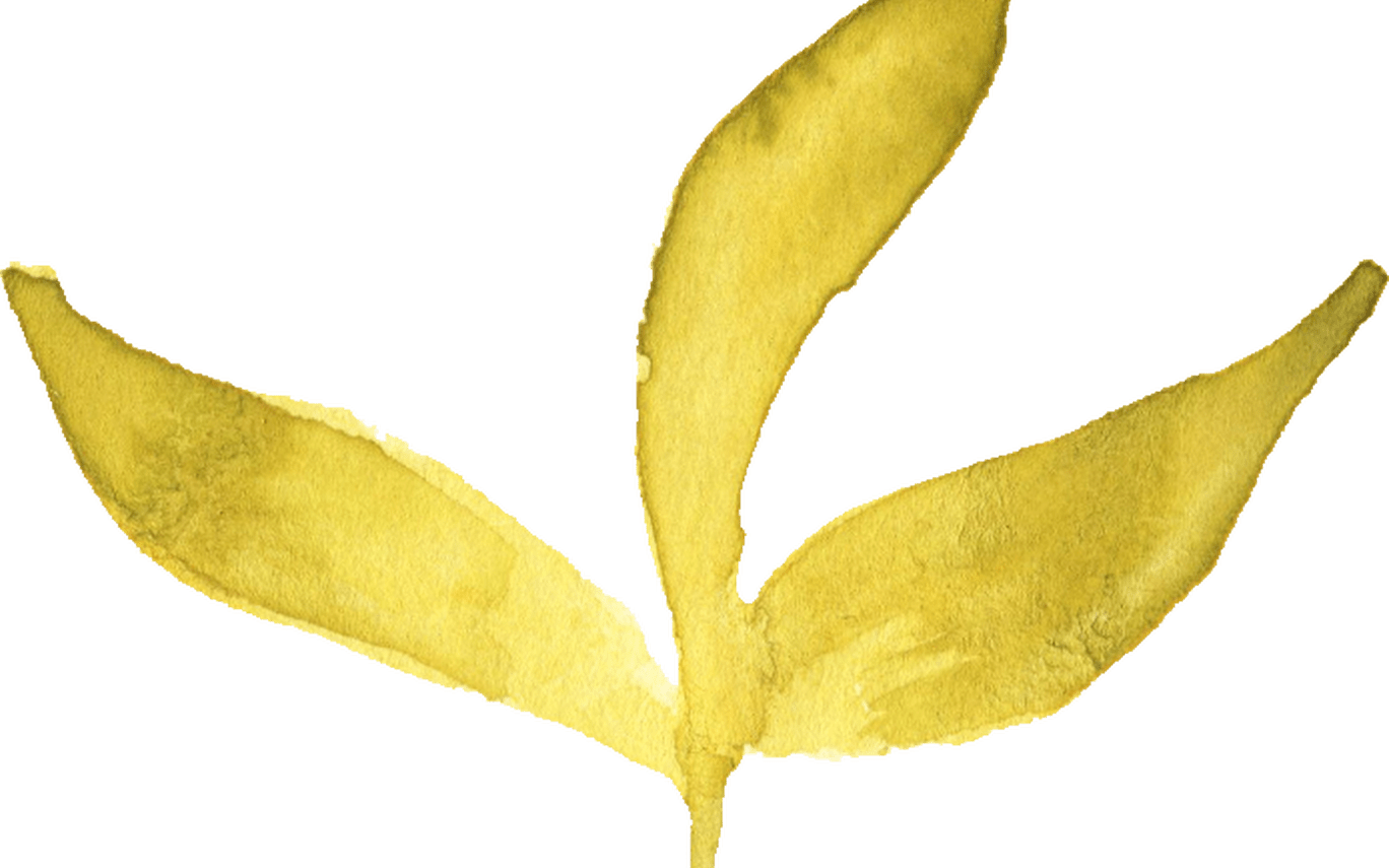 6 Watercolor Yellow Leaf Onlygfxcom - Watercolor Painting (1368x855), Png Download