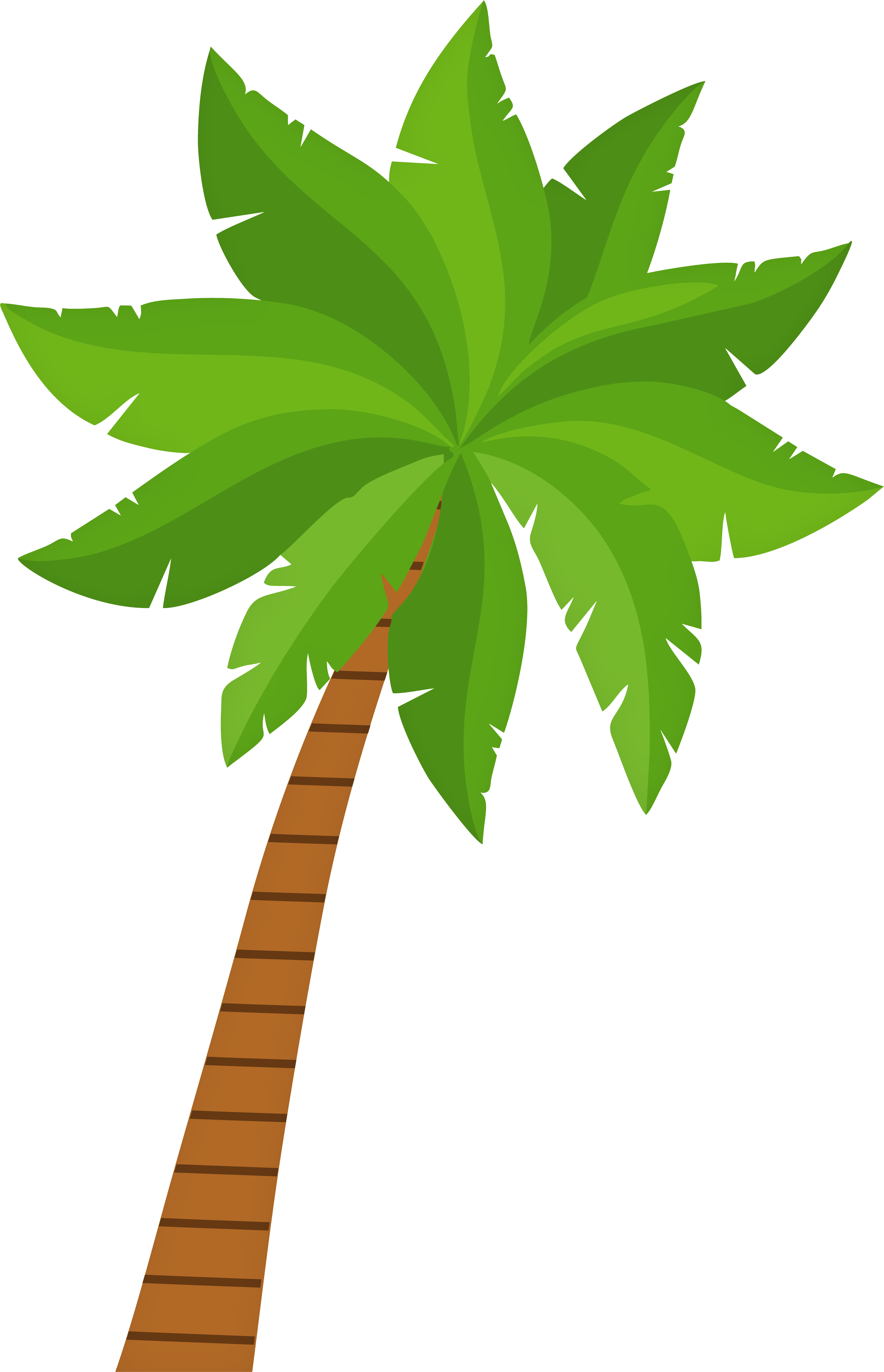 Palm Tree Png Clip Art - Clip Art (5181x8000), Png Download