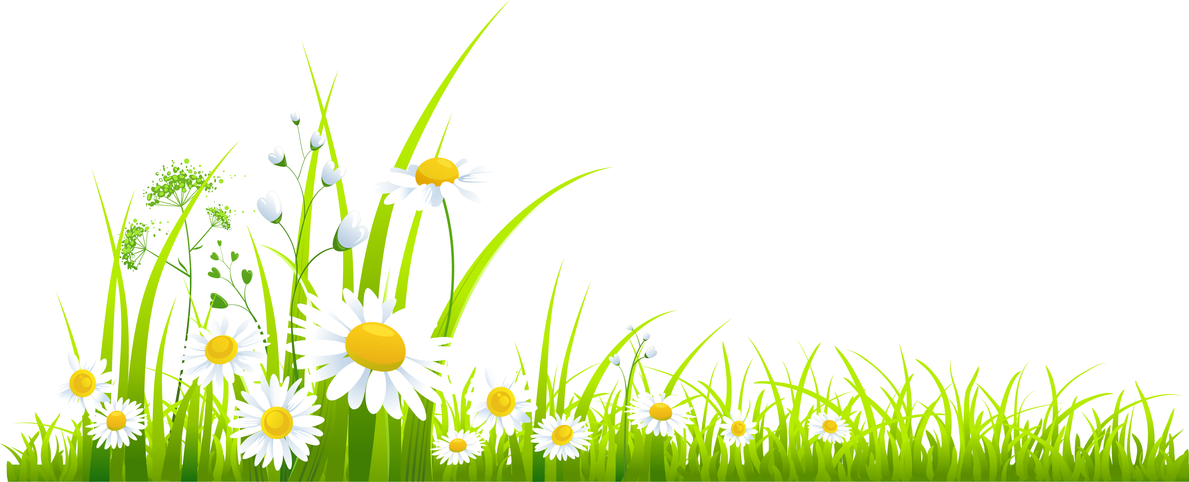 Spring - Spring Clipart Transparent Background (3911x1566), Png Download