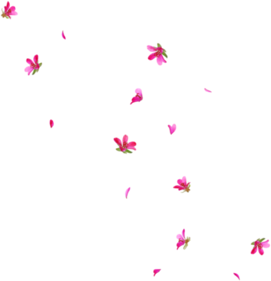 Rain Interesting Art Tumblr Pngs Png Flowers Freetoedit - Rain Of Flowers Png (1024x1024), Png Download