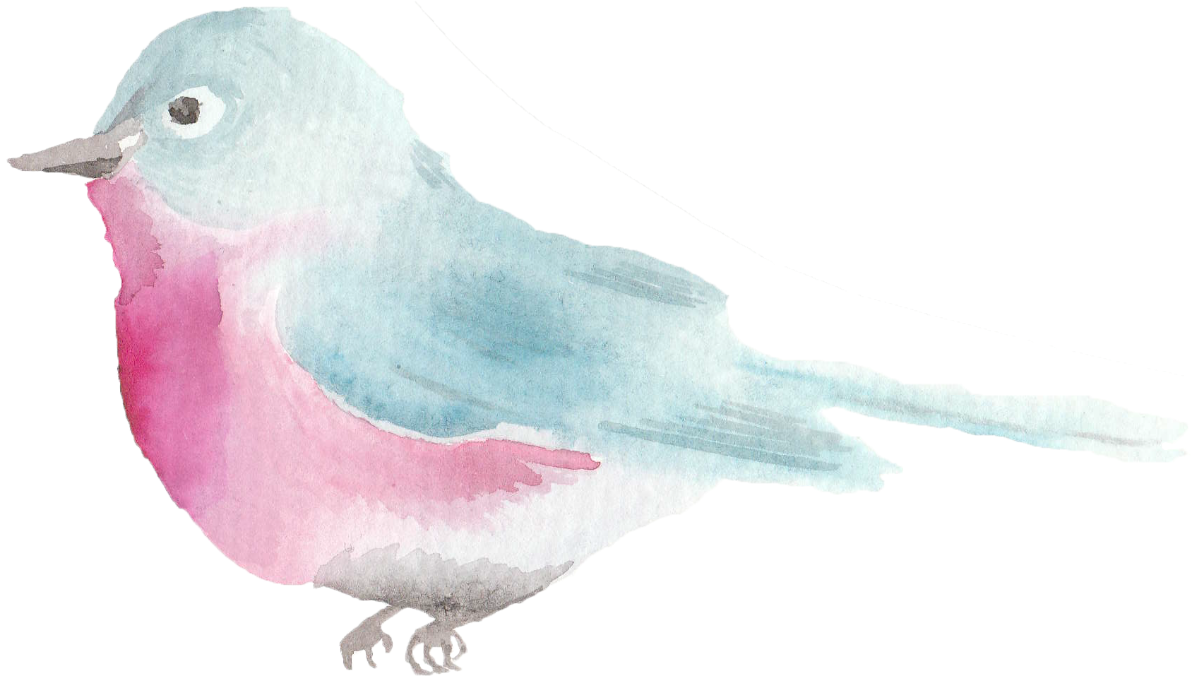 Spring Watercolor Birds (2160x1357), Png Download