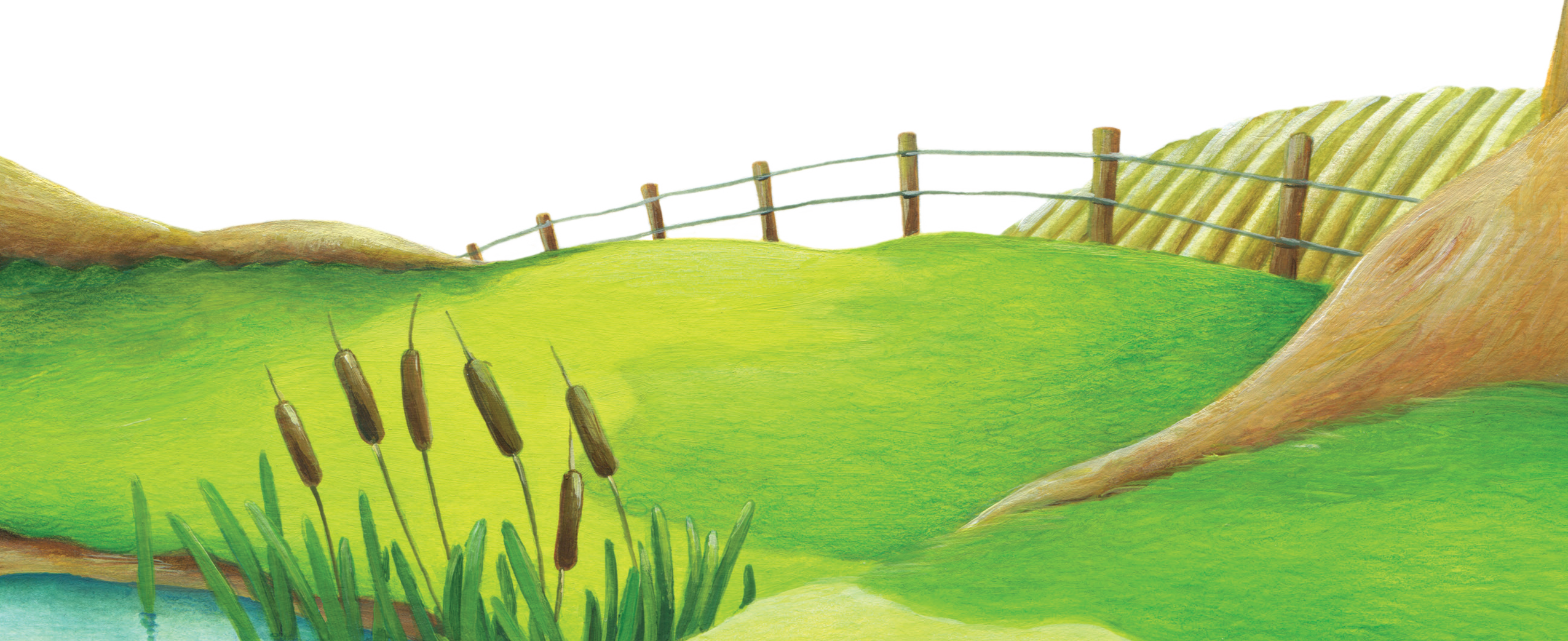 Field - Illustration (2550x1042), Png Download