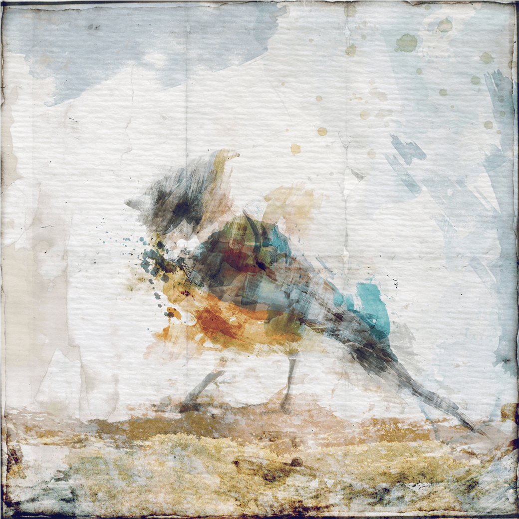 Leftbank Art Watercolor Bird Ii Canvas Wall Art (1200x1200), Png Download