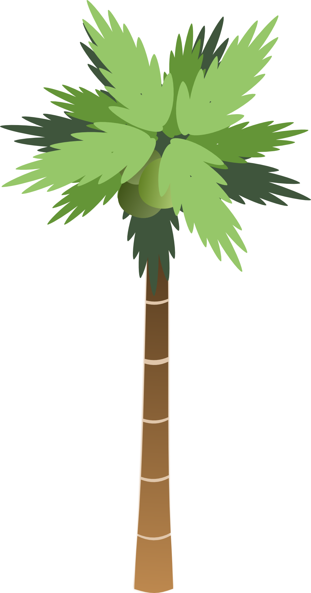 Palm Tree Png - Palm Tree Png Cartoon (999x1906), Png Download