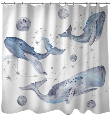 Watercolor Illustration With Whales And Stars Shower - Art Print: Kisika's Watercolor Illustration With Whales (400x400), Png Download